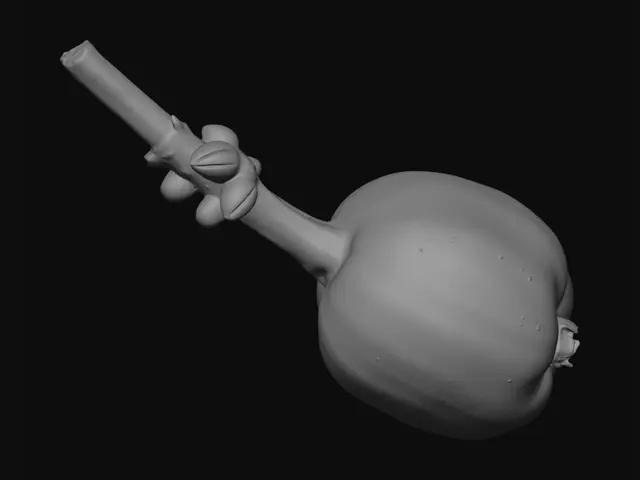 3D model for A smooth red berry from a coffea tree