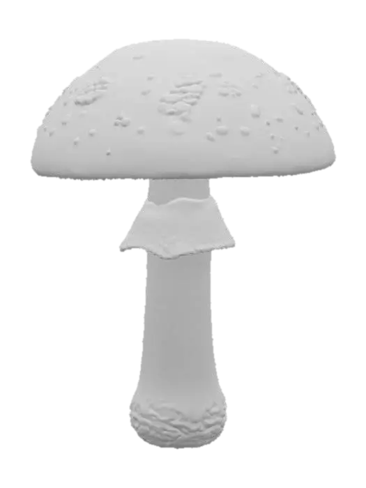 3D model for Woodland Mushroom Majesty