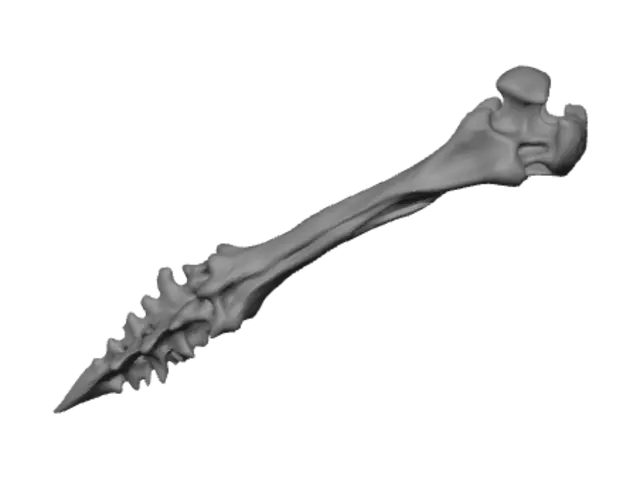 3D model for Serrated Bone Spear