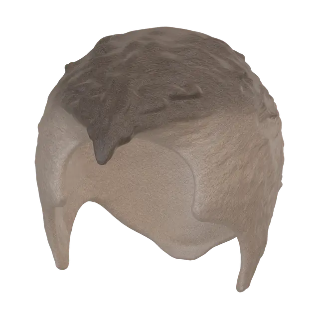 hair - Fade 3D model, vytvořený pomocí AI