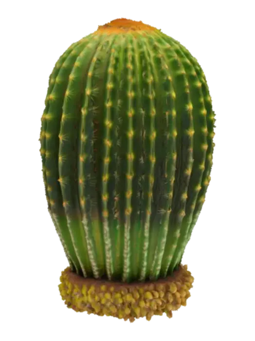 Cactus Perdita 3D model, vytvořený pomocí AI