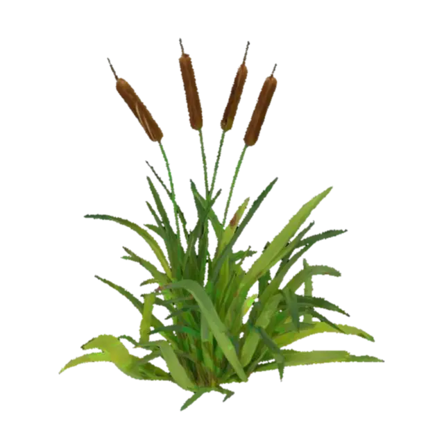 Cattail Serenity - Grass 3D model, vytvořený pomocí AI