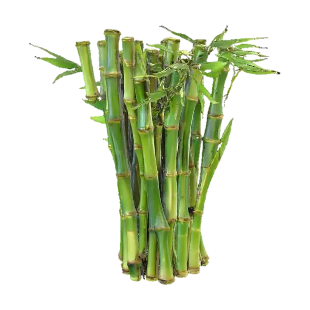 Bamboo Grove 3D model, vytvořený pomocí AI