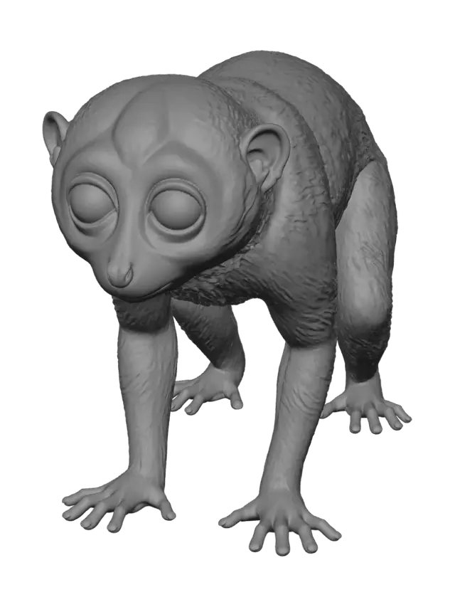 3D model for Spectral Primate