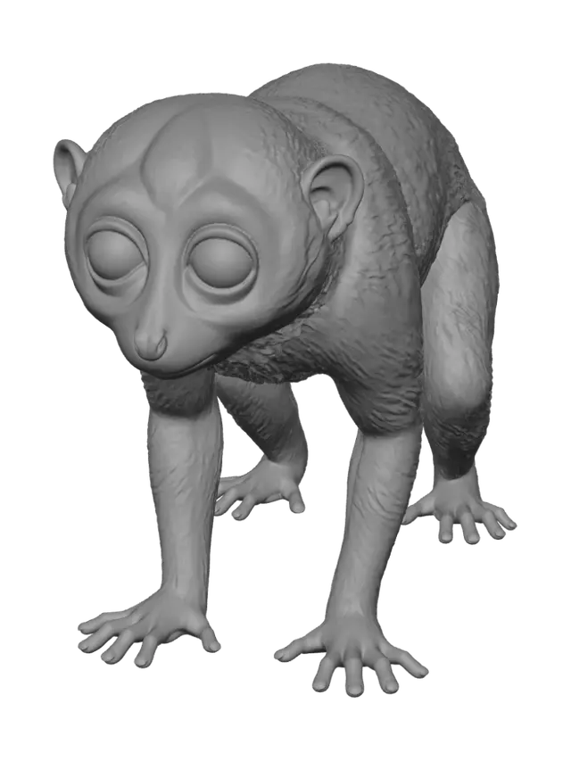 3D model for Spectral Primate