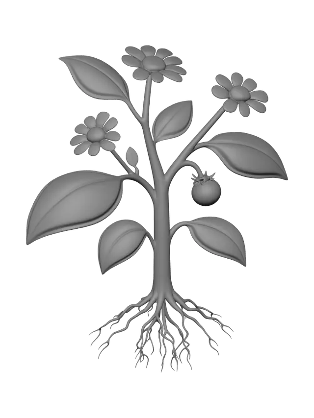 3D model for Rooted in Bloom
