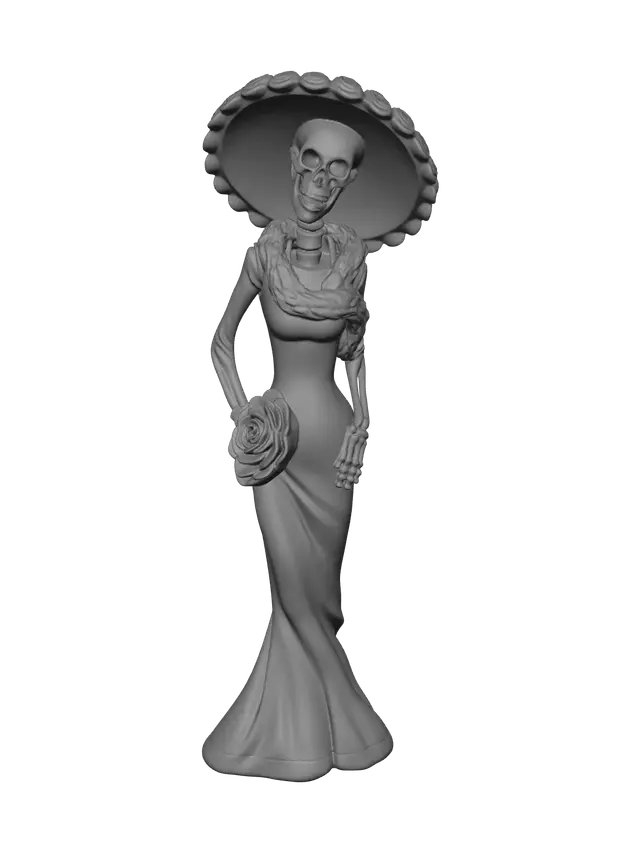 3D model for Female Skeleton