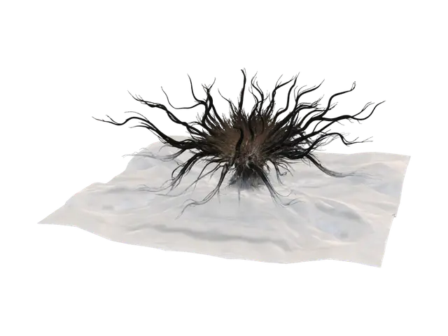 3D model for Eye of the Dunes