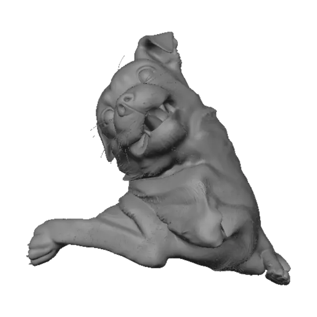 3D model for Playful Pup Close-Up