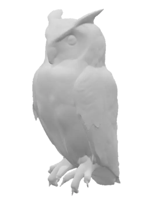 3D model for Eternal Gaze Amazing Owl
