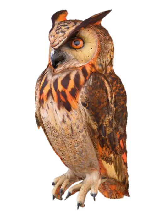 3D model for Eternal Gaze Amazing Owl