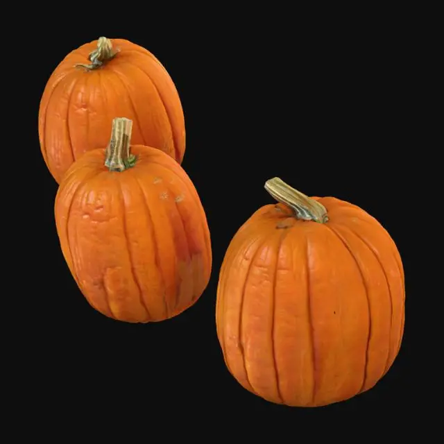 3D model for Pumpkins in the Patch, #Halloween2025#