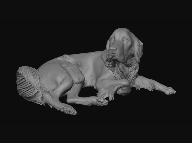 3D model for Sunlit Backyard Nap
