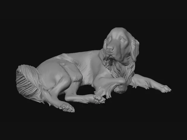 3D model for Sunlit Backyard Nap