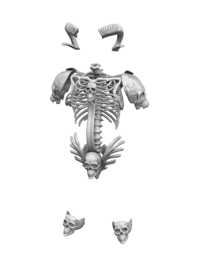 3D model for Realistic Female Skeleton
