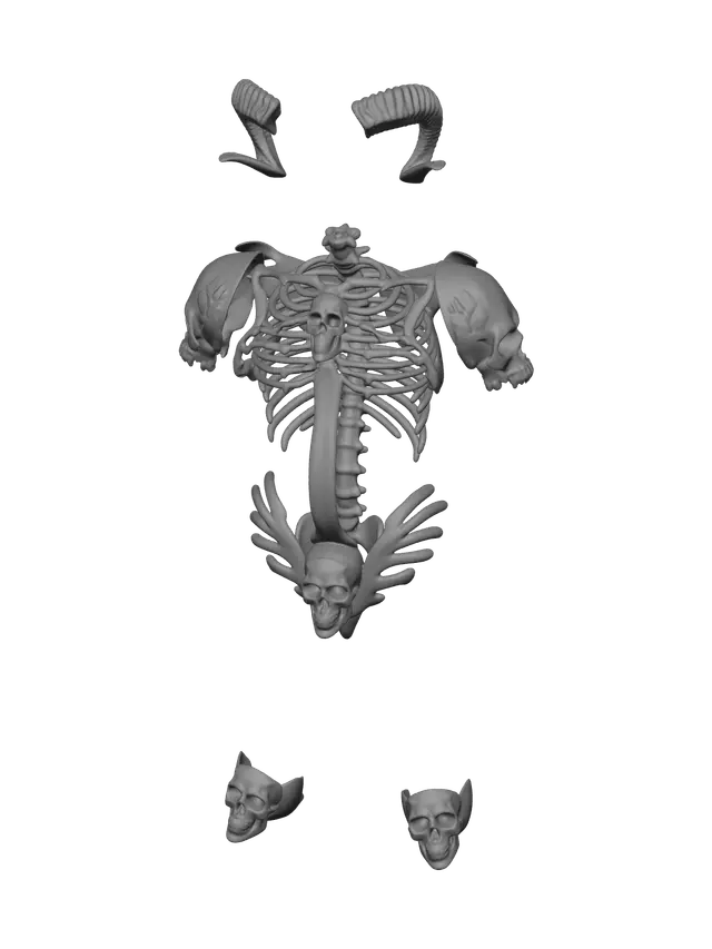 3D model for Realistic Female Skeleton
