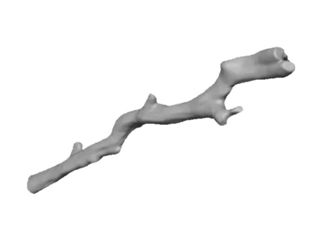 3D model for Branch Essence