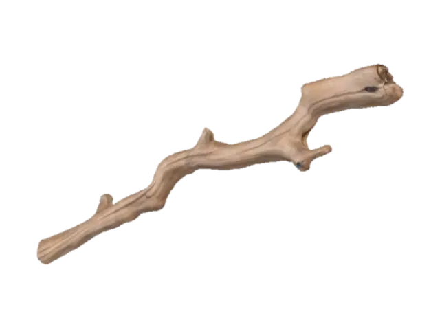 3D model for Branch Essence