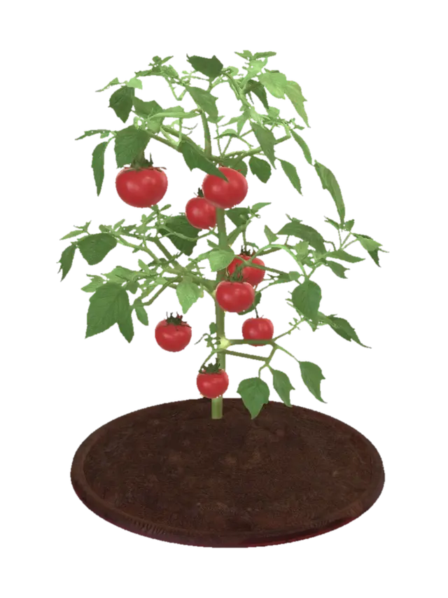 Tomato Plant - Stems 3D model, vytvořený pomocí AI