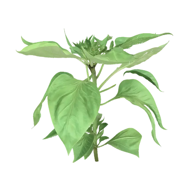 Pepper Plant - Stable 3D model, vytvořený pomocí AI