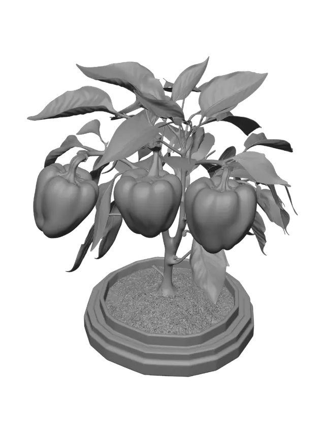 3D model for Bell Pepper Plant with Red and Green Peppers