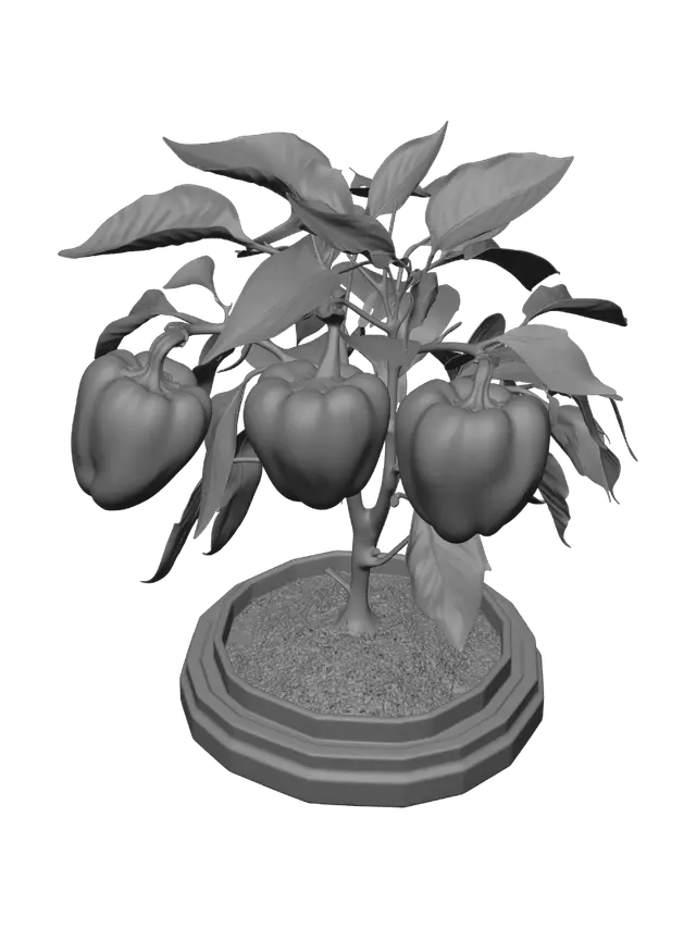 3D model for Bell Pepper Plant with Red and Green Peppers
