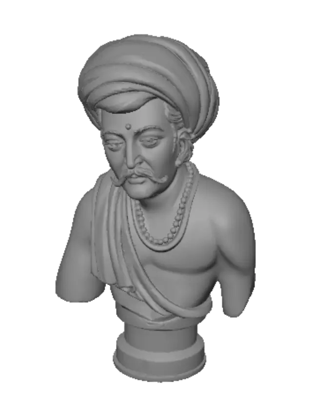 3D model for Turbaned Sage
