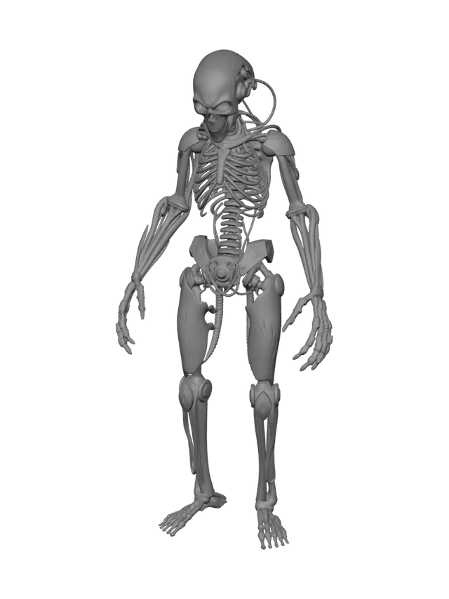 3D model for es un traje animatronico muy roto y desgastado con un endoesqueleto notable