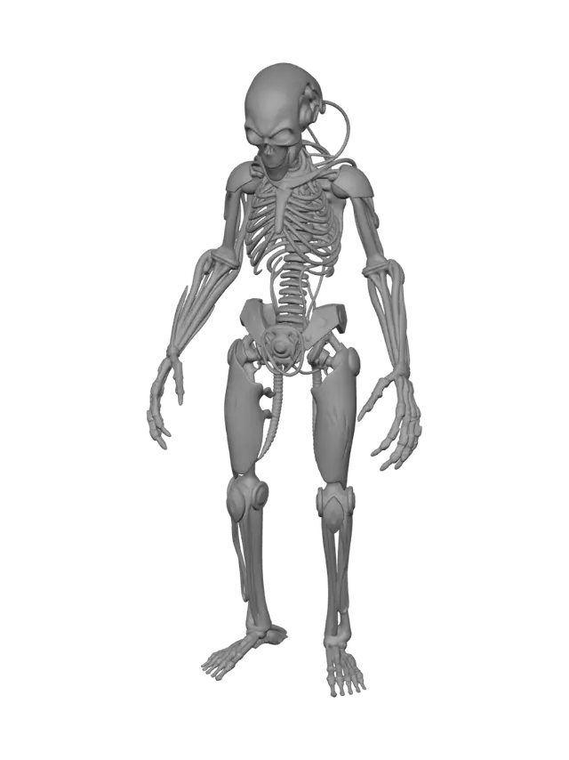 3D model for es un traje animatronico muy roto y desgastado con un endoesqueleto notable