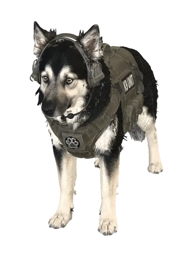 3D model for Canine Commander