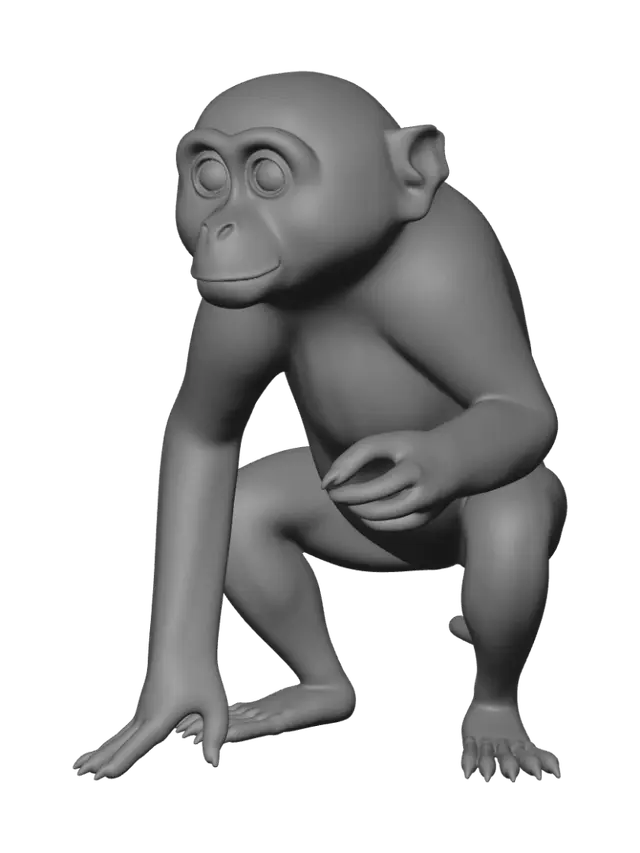 3D model for a realistic monkey