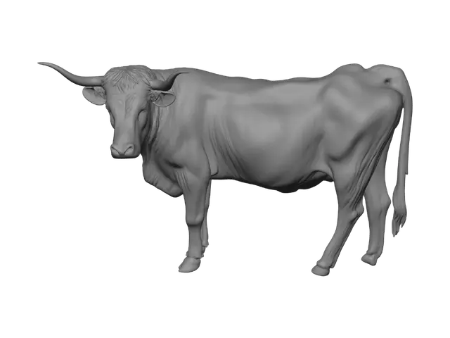 3D model for Longhorn Bull