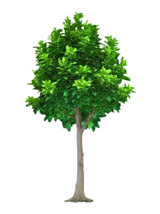 {"object":"Tree","material":"Organic bark and foliage","shape_form":"Compact and bushy… 3D model, vytvořený pomocí AI
