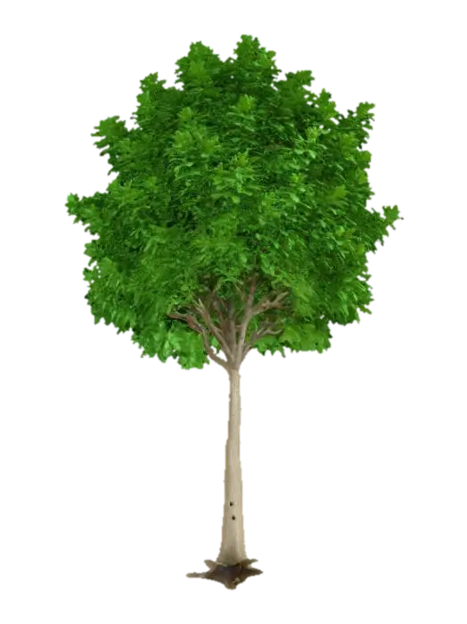 {"object":"Tree","material":"Organic bark and foliage","shape_form":"Compact and bushy… 3D model, AI generated