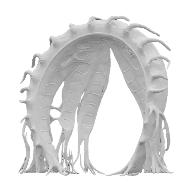 3D model for Object: Colossal bio-architectural archway organism
Material: Bioengineered chitin exoskeleton, mycelium-reinforced cores, photosynthetic glass membranes, vascular hydrogel veins
Shape/Form: 300-meter parabolic span with branching root-like pylons, ribbed vertebrae segments, dorsal respiration vents, tail-cantilever shading pods
Color Scheme: Jade-to-copper gradient outer skin, cyan bioluminescent vein network, sunset-amber membrane highlights
Texture Details: Semi-translucent living surface, subtle gloss, visible pulsing vascular channels, fibrous underside plates
Style: Biopunk realistic, high-poly organic megastructure
Reference Models: Gaudí-inspired flowing masonry, Avatar-style mega-flora, Grimshaw Eden Project biomes, #arch#