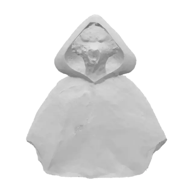 3D model for Hooded Enigma
