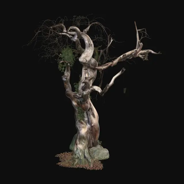 3D model for Dead tree