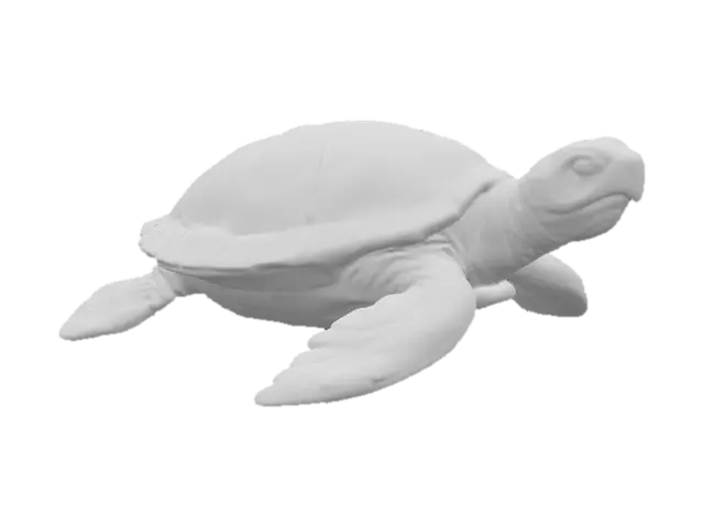 3D model for Prismatic Turtle