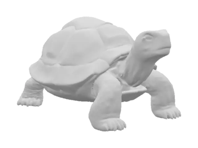 3D model for Iridescent Tortoise