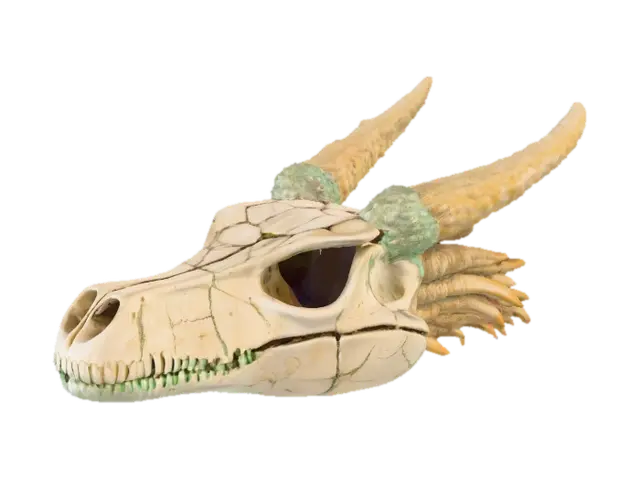 3D model for #PBR#, A fossilized dragon skull with elongated, ridged horns curving backward. The bone texture is weathered ivory with deep cracks and porous details, dusted with mossy green and earthen brown discoloration. Metallic deposits of tarnished copper streak through parts of the skull, giving it a mineral-encrusted look. The eye sockets glow faintly with ghostly turquoise light, casting a soft luminescence over the fractured bone surface.