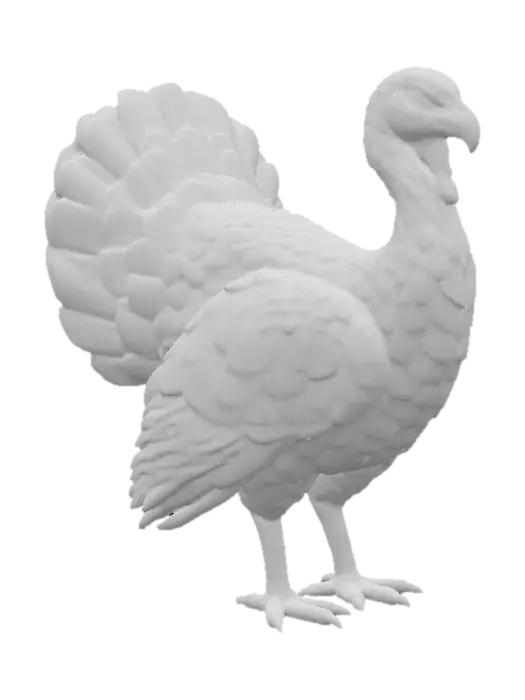 3D model for Radiant Turkey