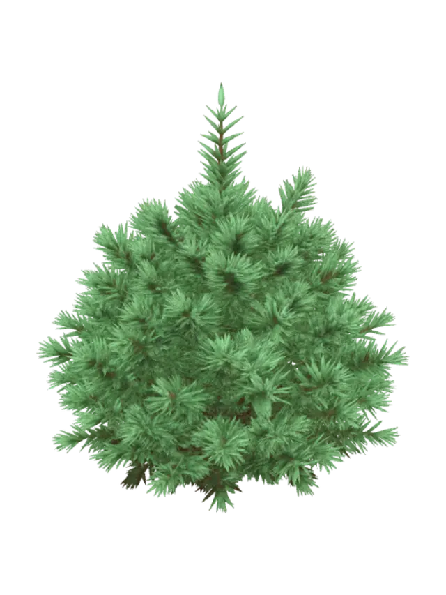 3D model for make me a kind of low poly pine bush