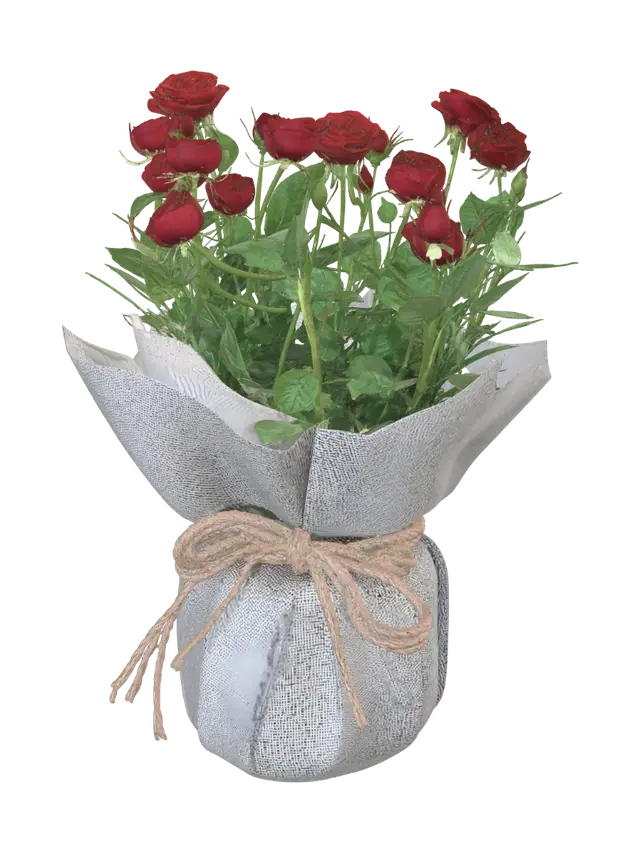3D model for Red Roses in Burlap Wrap