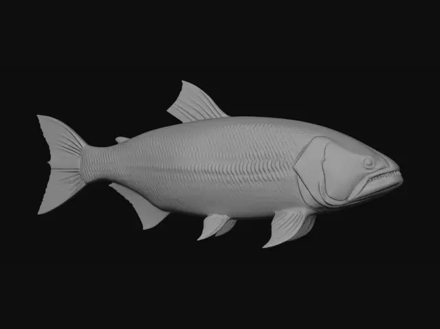 3D model for Golden Dorado