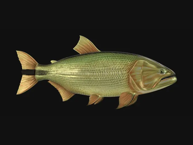 3D model for Golden Dorado