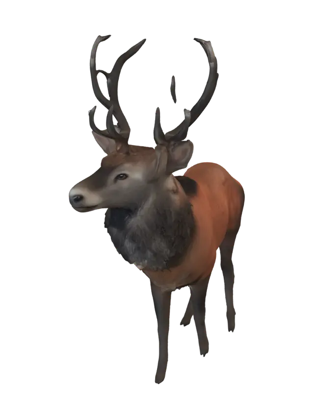 3D model for Majestic Elk in the Meadow
