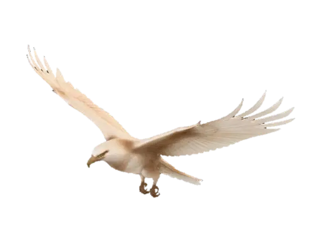 Dawnwing Kite - Avian 3D model, vytvořený pomocí AI