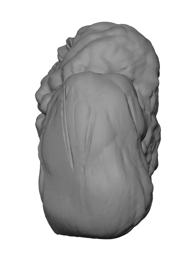 3D model for Orange seed pod