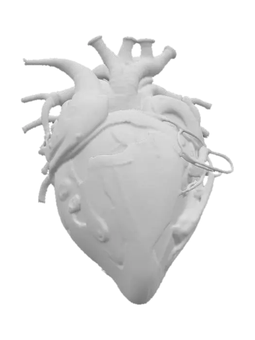 3D model for An HR Giger-inspired realistic heart, sculpted from a fusion of tarnished, dark chrome and glistening, ribbed organic tissue. Its distorted, muscular form is encased in a lattice of interwoven metallic cables and sinewy, bone-like structures, creating a chilling biomechanical aesthetic. The surface features a mix of polished, cold metal and slick, pulsating biological textures in desaturated grays, blacks, and deep venous reds, offering a disturbingly visceral and industrial tactile quality., #PBR#