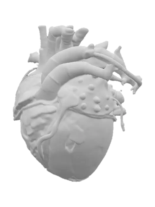 3D model for An HR Giger-inspired realistic heart, sculpted from a fusion of tarnished, dark chrome and glistening, ribbed organic tissue. Its distorted, muscular form is encased in a lattice of interwoven metallic cables and sinewy, bone-like structures, creating a chilling biomechanical aesthetic. The surface features a mix of polished, cold metal and slick, pulsating biological textures in desaturated grays, blacks, and deep venous reds, offering a disturbingly visceral and industrial tactile quality., #PBR#